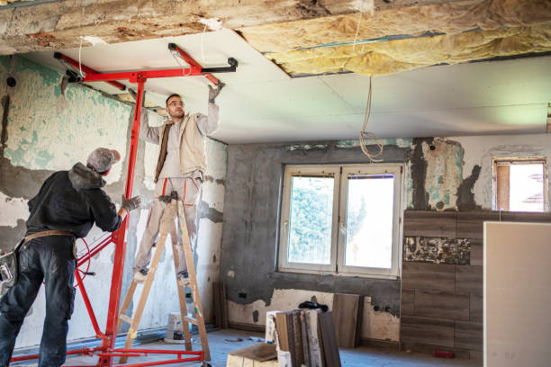 Best Insulation Installation Services in Lead, SD