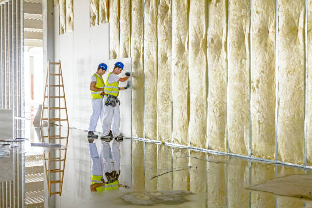 Best Types of Insulation in Lead, SD
